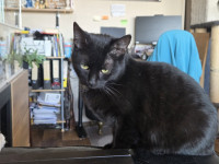 /album/27-12-20251/605545802-1199233608979219-7894337463798990695-n-jpg/