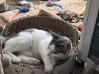 /album/27-12-20252/608604626-1199237958978784-4860229250657984833-n-jpg/