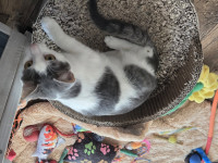 /album/27-12-20252/606486697-1199237905645456-2102068189111944096-n-jpg/