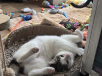 /album/27-12-20252/606006996-1199238002312113-7586353042210345254-n-jpg/