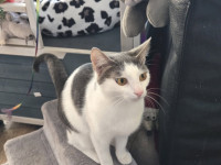 /album/27-12-20252/605553342-1199237902312123-2036872727327800395-n-jpg/