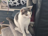 /album/27-12-20252/605967339-1199237908978789-1957232665538368319-n-jpg/