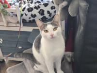 /album/27-12-20252/605807338-1199237972312116-5897426616132061065-n-jpg/