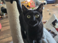 /album/27-12-20253/605530855-1199241068978473-119777578140269236-n-jpg/