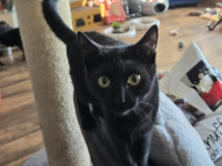 /album/27-12-20253/605934824-1199241158978464-5897212414338841430-n-jpg/