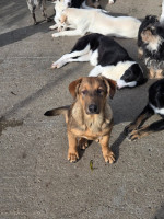 /album/20-11-20251/605818630-1199967635572483-161427510513275145-n-jpg/