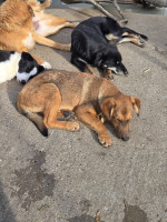 /album/20-11-20251/608188405-1199967482239165-1751773345947491164-n-jpg/