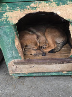 /album/20-11-20251/605762059-1199967442239169-2995898972296380058-n-jpg/