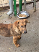 /album/20-11-20251/606011034-1199967435572503-8937175594853407750-n-jpg/