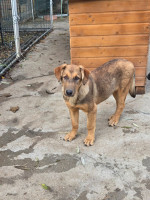 /album/20-11-20251/607453412-1199967255572521-7672257825336558754-n-jpg/