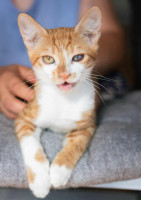 /album/252/555687488-1200067968833843-8762099088266036211-n-jpg/