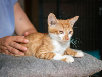 /album/252/555934452-1200067915500515-8063551970430518259-n-jpg/