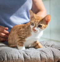 /album/252/557090316-1200067942167179-652808923680106735-n-jpg/