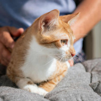 /album/252/556160497-1200067805500526-7541032708874989682-n-jpg/