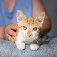 /album/252/555676202-1200067872167186-3671622728561965970-n-jpg/