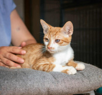 /album/252/556031978-1200067882167185-6664147363592524500-n-jpg/