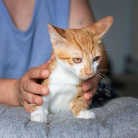 /album/252/556869420-1200067935500513-3515676761970484570-n-jpg/