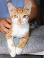 /album/252/555941348-1200067798833860-7539503192144199448-n-jpg/