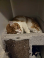 /album/02-01-2026/aae9bb52-43a1-4431-b124-53f56cc0fa24-jpeg/