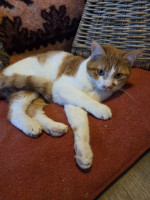 /album/02-01-2026/7b6b6c1b-4028-456d-b7bc-61c6eb019c88-jpeg/