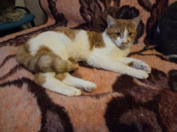 /album/02-01-2026/e1b541a5-fea8-43ec-9c80-b5efe5473ac7-jpeg/