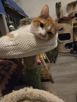 /album/02-01-2026/5a357729-a28d-4881-9f34-7b6e054730de-jpeg/