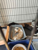 /album/05-01-2026/e302d1c0-8522-48a6-b702-59ae9d0a9172-jpeg/