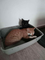 /album/05-01-2026/e4016e0a-1d1e-4a59-a732-fb47fd18f3a7-jpeg/