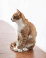 /album/05-01-2026/4ef1b684-49f2-4540-a7e6-3a0bbbdd97ab-jpeg/