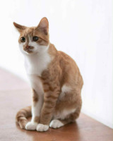 /album/05-01-2026/4517592e-5861-48f1-9aaa-4e2448fcef31-jpeg/