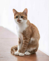 /album/05-01-2026/6f7bd9bd-2d44-4f04-8373-ef232fa0dbfb-jpeg/