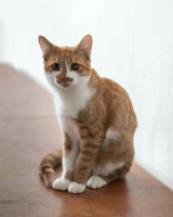 /album/05-01-2026/6e258b80-89c7-4a28-b386-28586d4374af-jpeg/