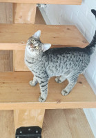 /album/11-01-2026/2bf95310-c04e-496a-8a77-1c818800fe9f-jpeg/