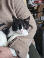 /album/11-01-20261/614533998-1209882241247689-6817757185015838245-n-jpg/