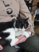 /album/11-01-20261/614435302-1209882337914346-2894352460499796581-n-jpg/