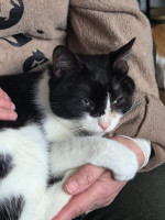 /album/11-01-20261/615488761-1209882371247676-396689916721608067-n-jpg/