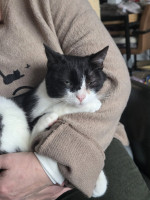 /album/11-01-20261/615201463-1209882267914353-8627775695132789743-n-jpg/