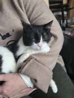 /album/11-01-20261/615431644-1209882237914356-352059228605906616-n-jpg/