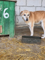 /album/17-11-20253/c551df3c-5218-42b1-9bd4-3fe33e69f0d6-jpeg/