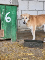 /album/17-11-20253/7dec34ac-fd02-4090-ab46-2af0c47a0f8d-jpeg/