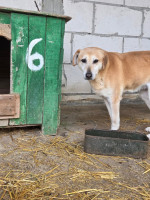 /album/17-11-20253/b11c1bbd-7dc2-4071-9d96-21a7a3276b08-jpeg/