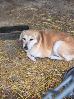 /album/17-11-20253/9c76be50-4e62-4429-8d78-94d24ac7fd6f-jpeg/