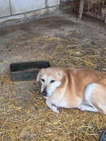 /album/17-11-20253/c9f97649-1484-48de-adf5-57131a076d9a-jpeg/