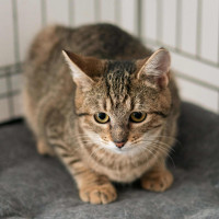 /album/98/e2aed3b6-5ee0-485e-a8ac-2848432e1710-jpeg/