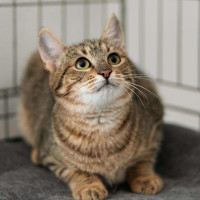 /album/98/59594313-4a8d-42b0-854d-4dd6c79fa570-jpeg/