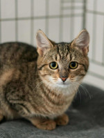 /album/98/563f3708-d0db-48ee-8939-958259c65673-jpeg/