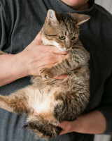 /album/98/bafb3fc2-9366-4eb4-b6e4-a88db4195287-jpeg/