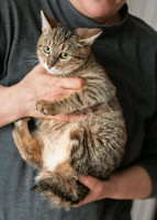 /album/98/2c768ba1-0462-46ab-9b9d-a0d76856ec39-jpeg/