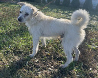 /album/113/584762675-1247027464137893-7817036709010448491-n-jpg/