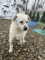 /album/113/584245952-1247027500804556-408741004750324237-n-jpg/